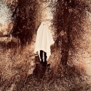 Meet your Posher, Addy